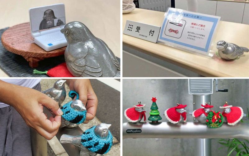 chim sẻ đeo khẩu trang chim sẻ đeo khẩu trang